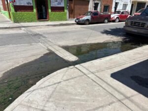 GENERADOR DE MOSQUITOS Y POSIBLES ENFERMEDADES COMO EL DENGUE